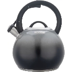 Чайник металлический Rondell Grigio RDS-1959 2.9л. серый