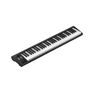 MIDI клавиатура 110105A2031 Icon Artist 61