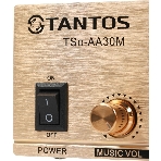 Усилитель Tantos TSo-AA30M выход 100Вт/30Вт