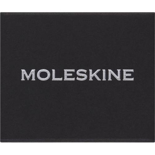 Шильд-символ Moleskine Zodiac Водолей, металл, серебристый, коробка с европодвесом, PINAQUARIUSSILV