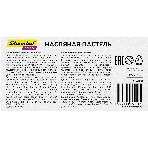 Масляная пастель Silwerhof Create 12 цветов, длина 70мм, диаметр 10мм