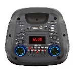 Колонка Eltronic FIRE BOX 08" динамик 2шт/8" черный с TWS 50 Вт